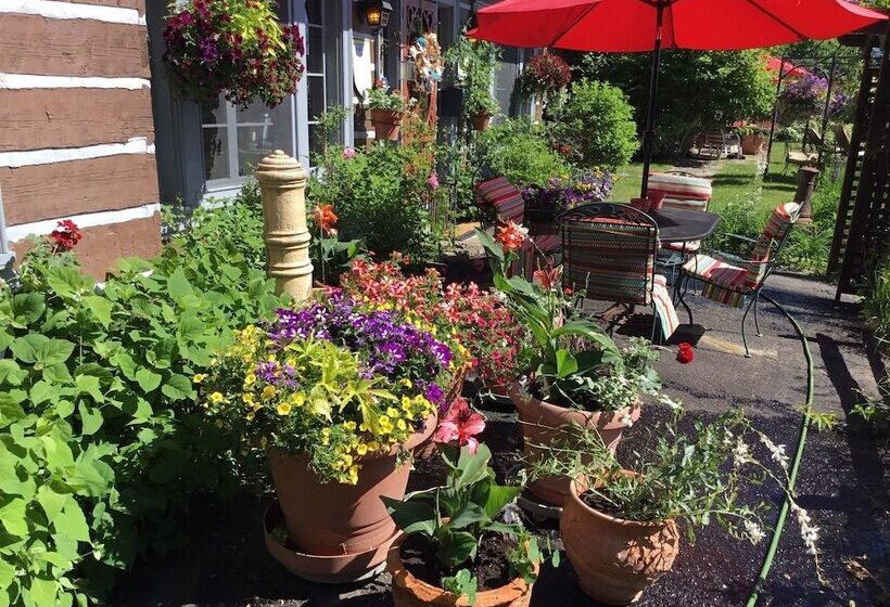 Le Petit Clocher Gite Touristique B & B