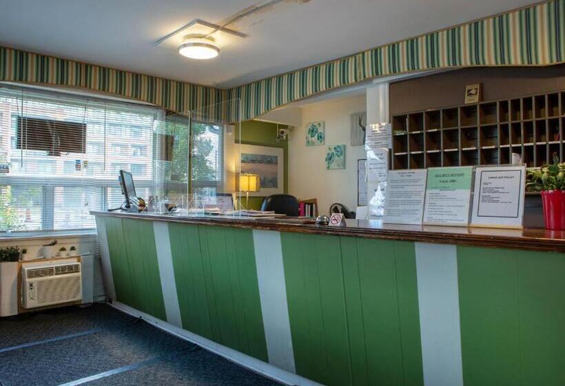 汽车旅馆  Richmond Hill On North