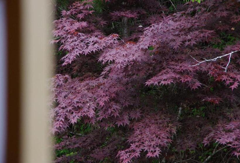 ריוקאן Iwasuso