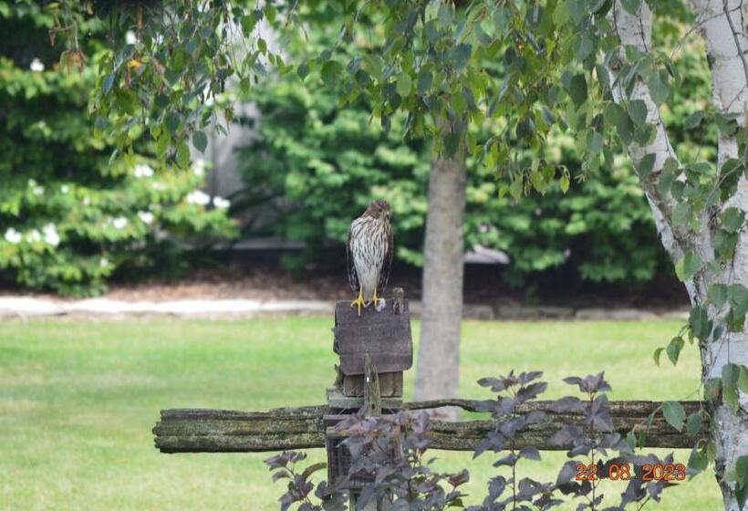 Wenzler S Landing Bed & Breakfast