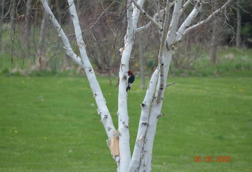 Wenzler S Landing Bed & Breakfast