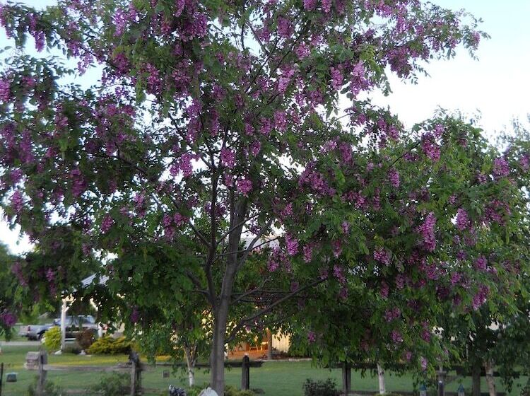 Wenzler S Landing Bed & Breakfast