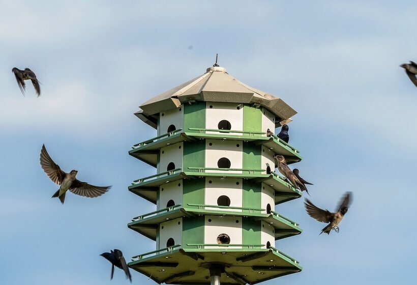 Wenzler S Landing Bed & Breakfast