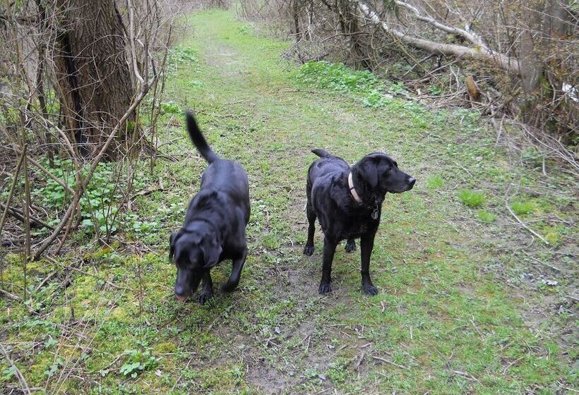 Wenzler S Landing Bed & Breakfast