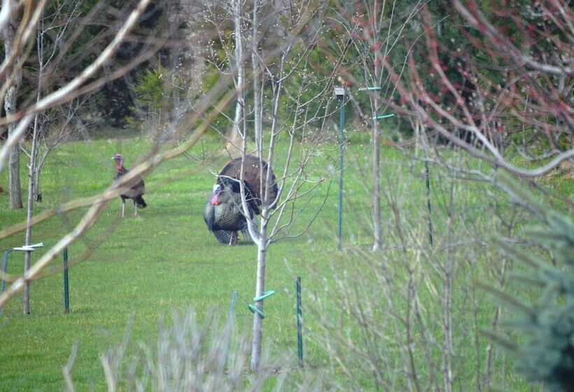 Wenzler S Landing Bed & Breakfast