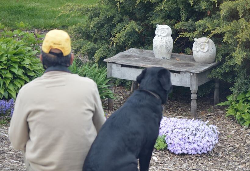 Wenzler S Landing Bed & Breakfast