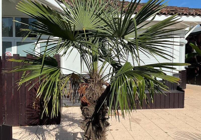 ホテル Kampaoh Mezos