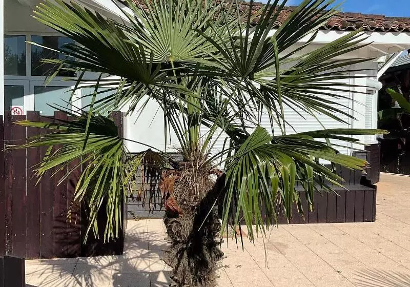 ホテル Kampaoh Mezos