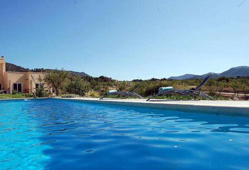 Bed and Breakfast El Pao Spa