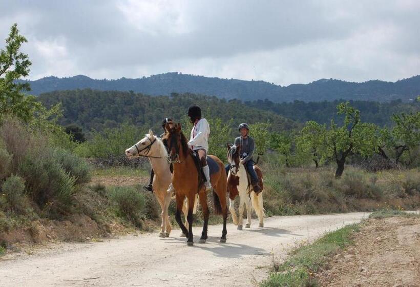 Bed and Breakfast El Pao Spa