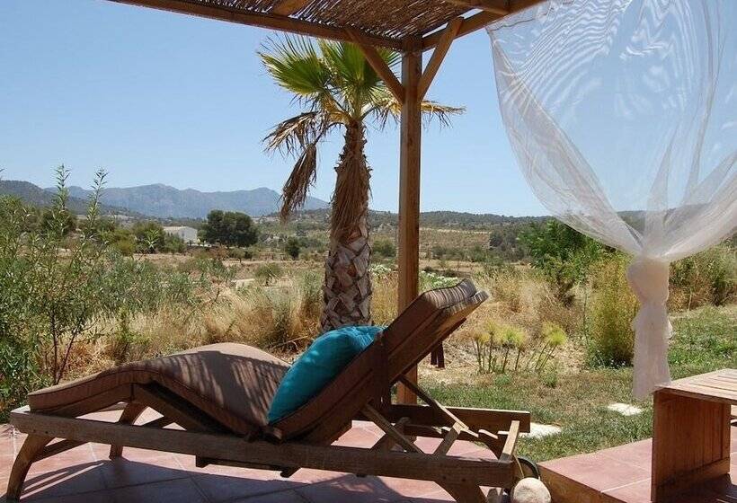 Bed and Breakfast El Pao Spa