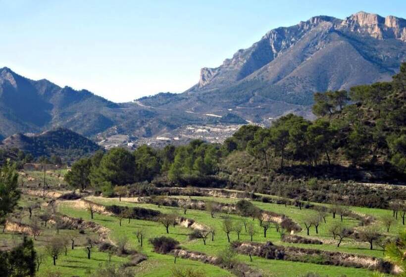 Bed and Breakfast El Pao Spa