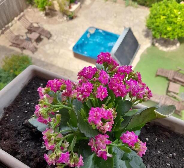 צימר Els Canterers