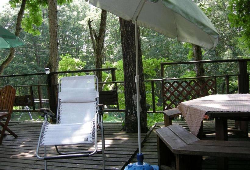 Aamiaismajoitus (B&B) Hayashi Pension