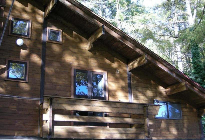 Aamiaismajoitus (B&B) Hayashi Pension