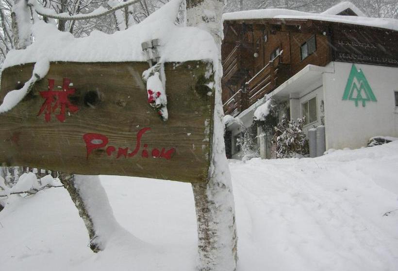 Aamiaismajoitus (B&B) Hayashi Pension