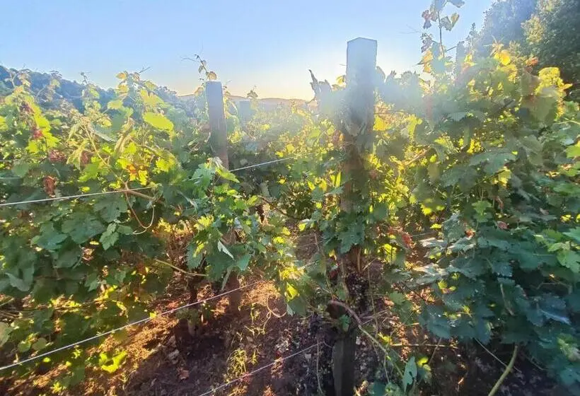 ホテル Apartamento Marouco