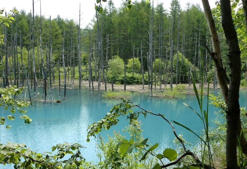 酒店 Furano La Terre