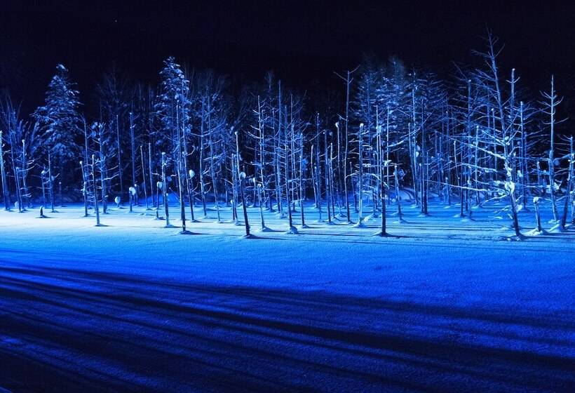 酒店 Furano La Terre