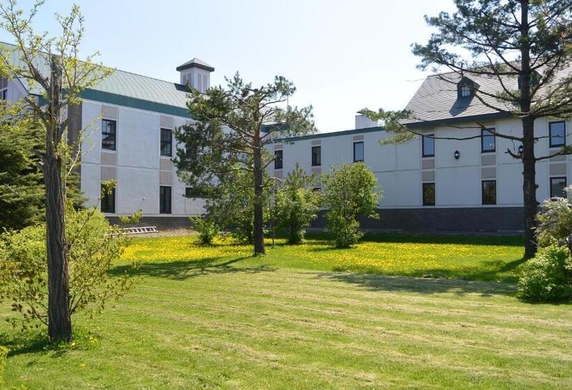 酒店 Furano La Terre