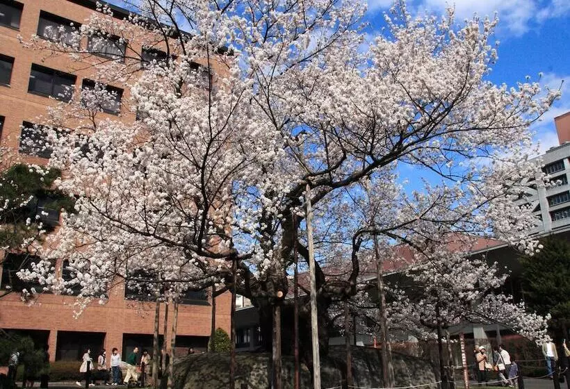 Hotelli Kita
