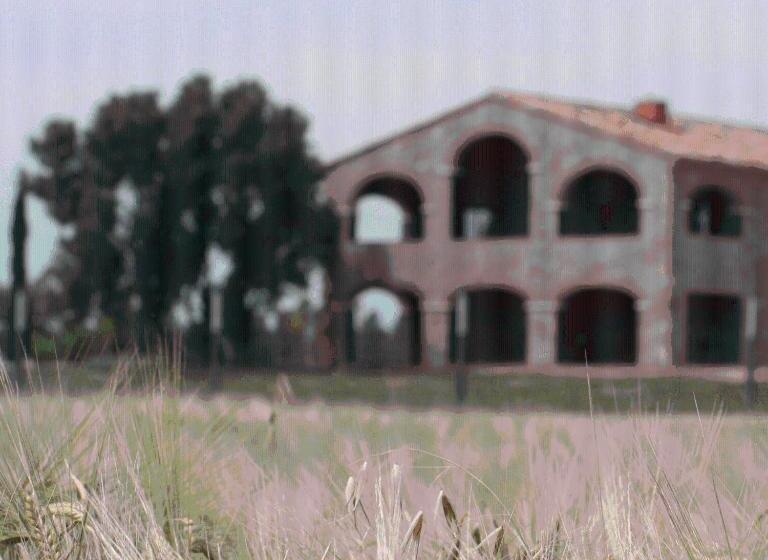 בית מלון כפרי Mas Oliveres Pla De Palau