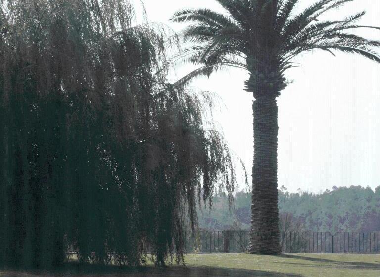 בית מלון כפרי Mas Oliveres Pla De Palau