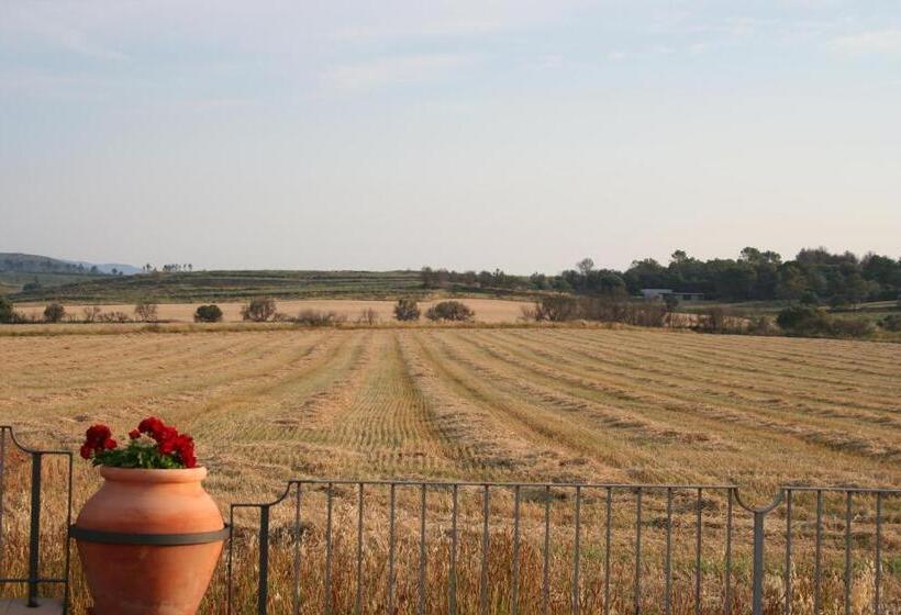 בית מלון כפרי Mas Oliveres Pla De Palau