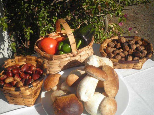 ホテル Restaurante Marroncín