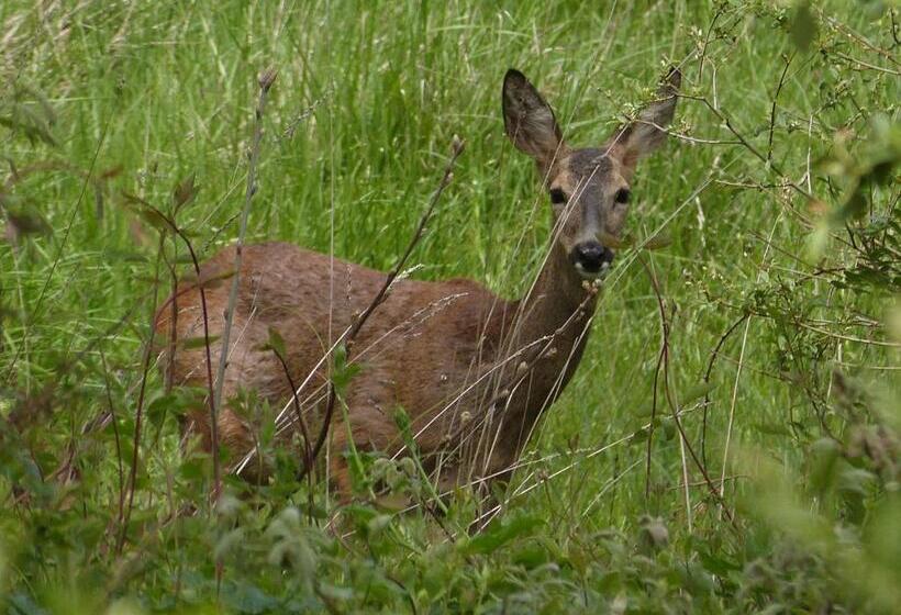 Hotel Rural El Caseron De Linarejos