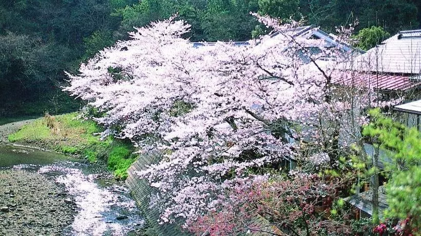 Motoyu Ryokan
