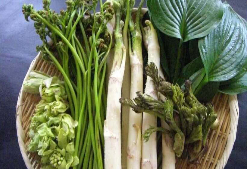 日式旅馆 Tamonkan