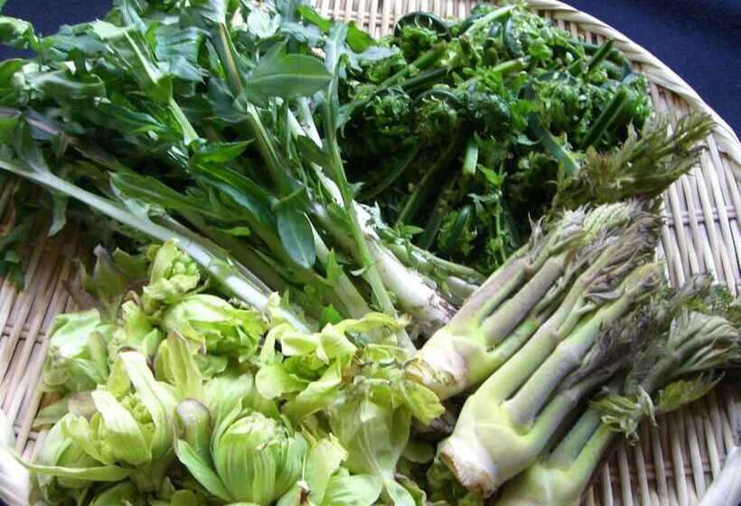 日式旅馆 Tamonkan