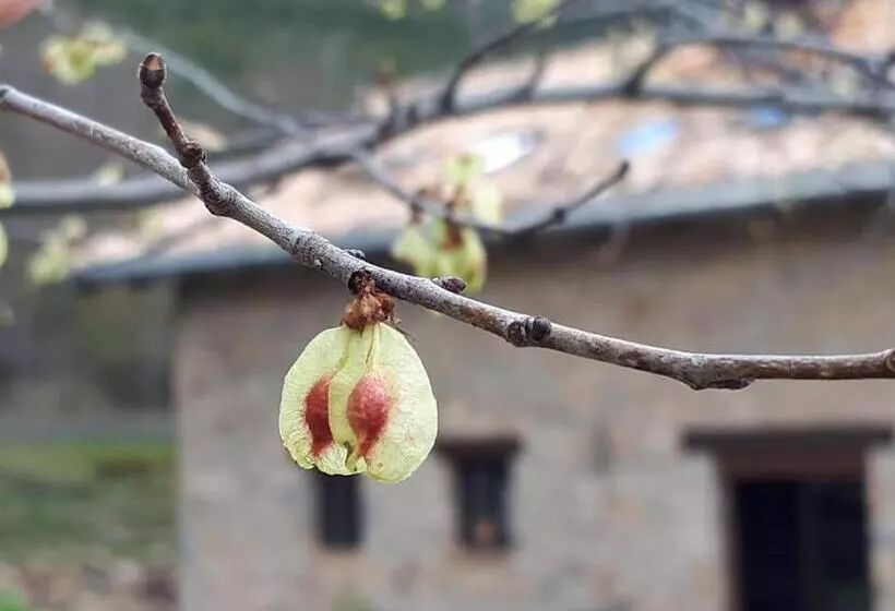 Albergue A Noguera