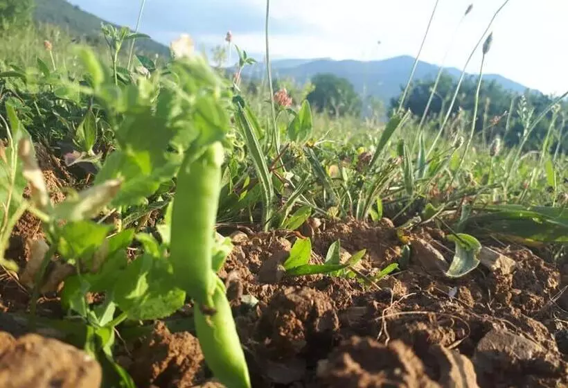 Albergue A Noguera