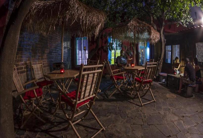 هاستل B&b La Laguna