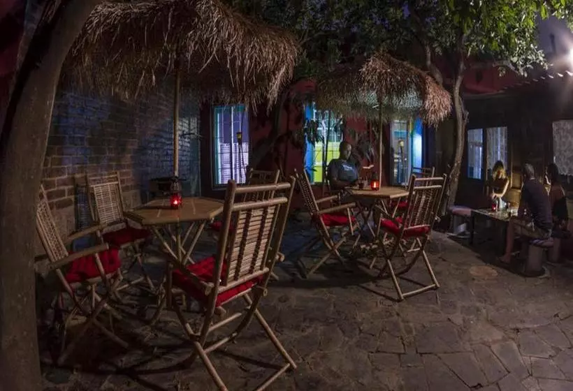 ユースホステル B&b La Laguna