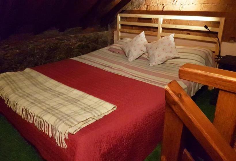 هاستل B&b La Laguna