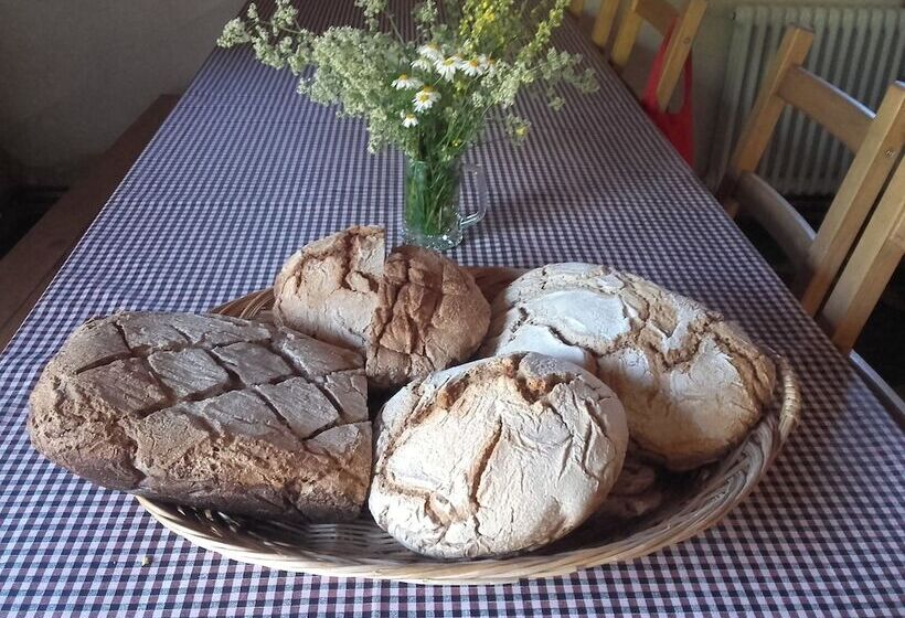 호스텔 Mas Rural El Negre