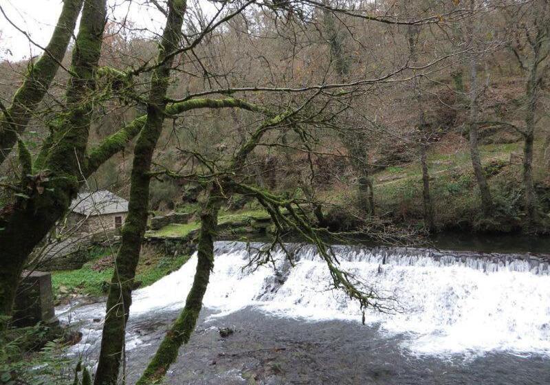 هاستل Obradoiro