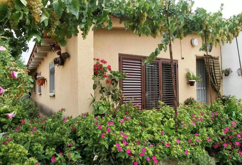 Albergue Turistico Torre De Sabre