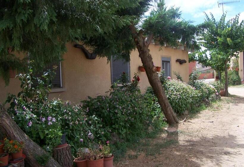 Albergue Turistico Torre De Sabre