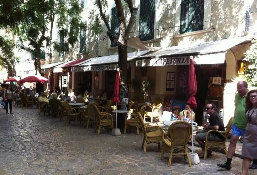 تختخواب و صبحانه Allotjaments Serra De Tramuntana