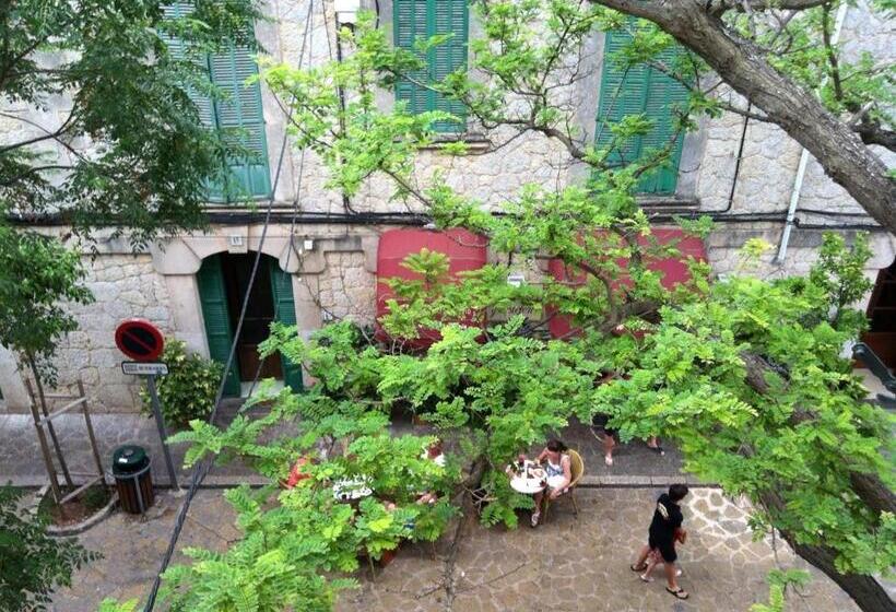 Bed and Breakfast Allotjaments Serra De Tramuntana