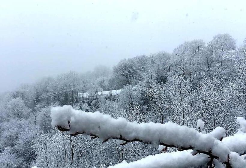 ベッドアンドブレックファースト Casa Rural Cuny