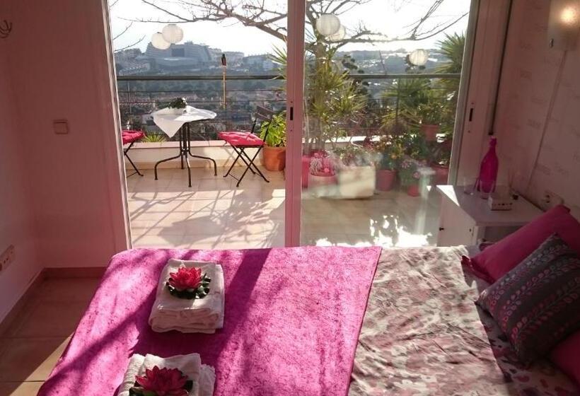 住宿加早餐  The Villa Sunlight