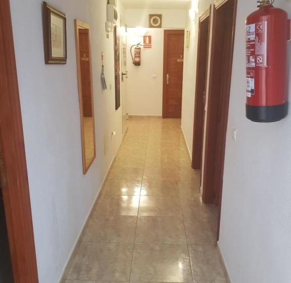 هاستل Hostal Pizzeria Oasis