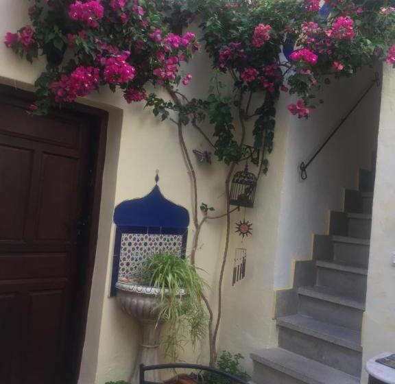 فندق Baraka Pensión