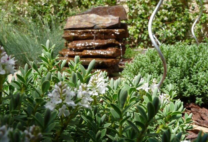 Eco Hotel Boutique & Spa Capitulo Trece   Adults Only