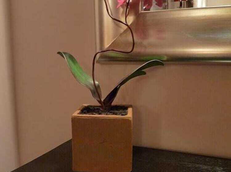 Eco Hotel Boutique & Spa Capitulo Trece   Adults Only